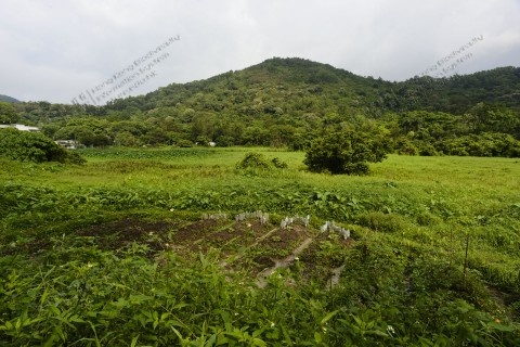 耕地 Farmland