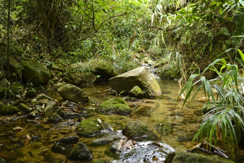 淡水河溪 Freshwater stream