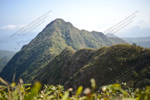 牛押山上看馬鞍山 View of Ma On Shan from Ngau Ngak Shan