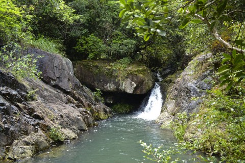 淡水河溪 Freshwater Stream