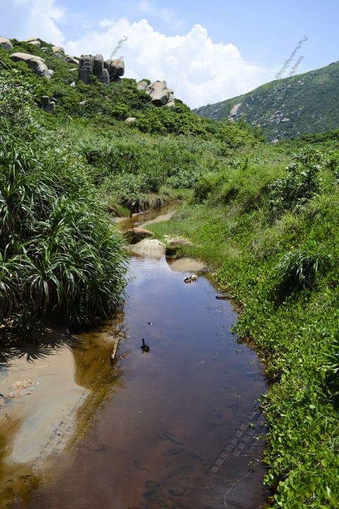 河口 Estuary