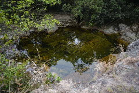 淡水河溪 Freshwater Stream