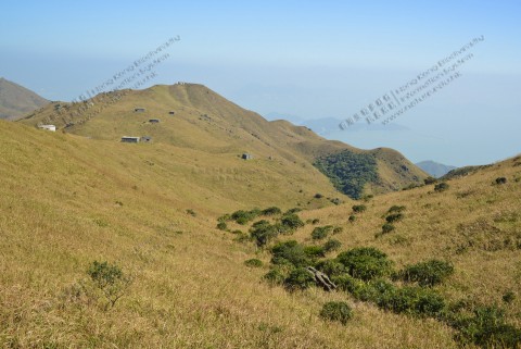 山頂草坡 Grassy slopes near summit