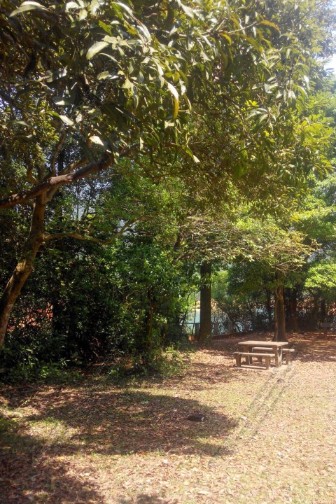 郊遊地點 Picnic Area