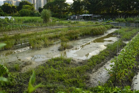 耕地 Farmland