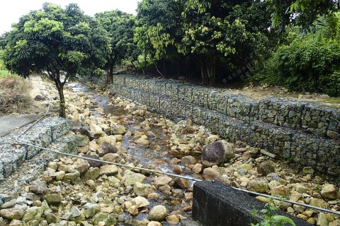 淡水河溪 Freshwater Stream 