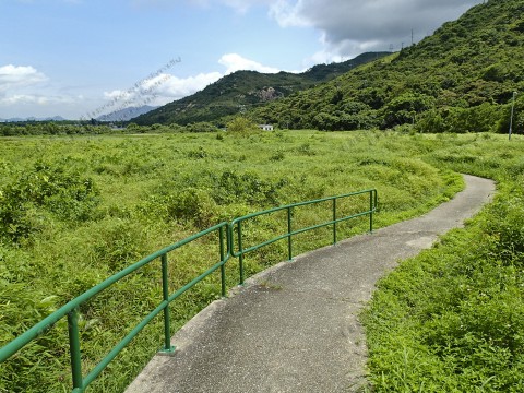 淡水濕地 Freshwater wetland