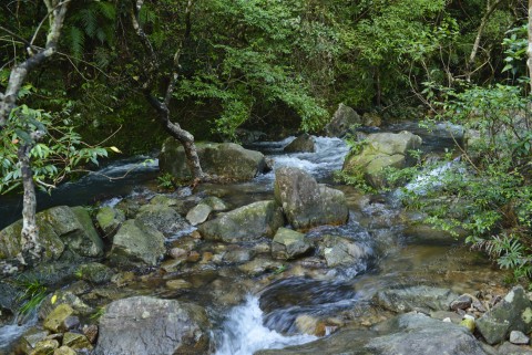 淡水河溪 Freshwater stream