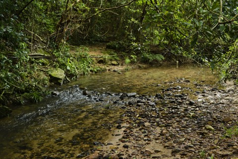 淡水河溪 Freshwater Stream