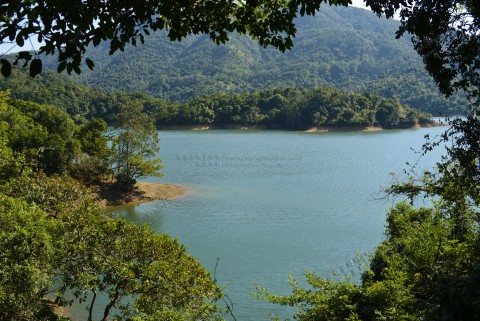 水塘 Reservoir