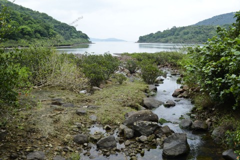 河口 Estuary