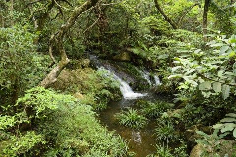 淡水河溪 reshwater Stream