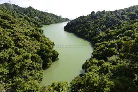 水塘 Reservoir