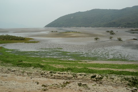 沙坪 Sandflat