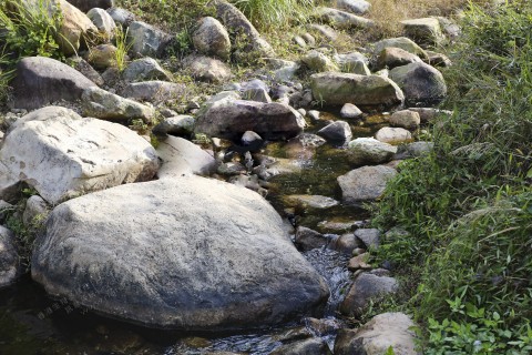 淡水河溪 Freshwater stream