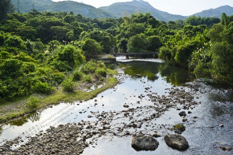 淡水溪流 Freshwater stream