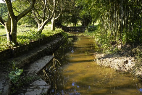 淡水河溪 Freshwater stream