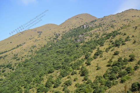 近山頂 Near summit