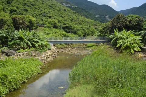 河口 Estuaries