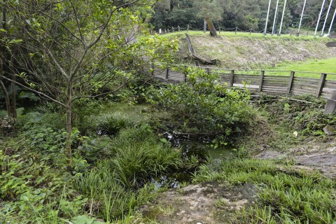 淡水河溪 Freshwater Stream