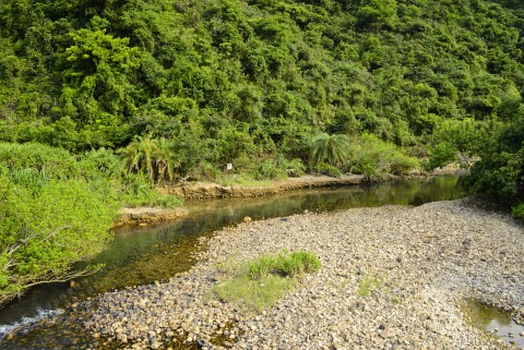 河口 Estuaries