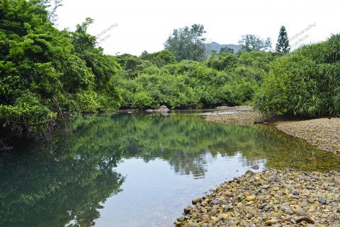 河口 Estuaries