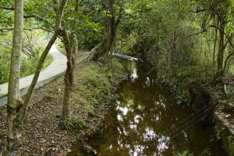 淡水河溪 Freshwater Stream