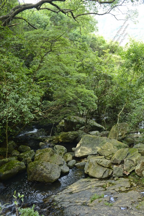 淡水河溪 Freshwater Stream