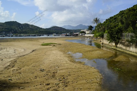 泥灘 Mudflat