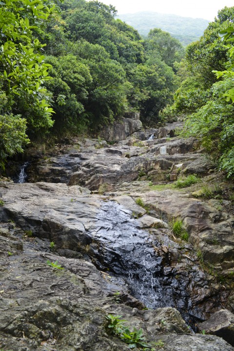 淡水河溪 Freshwater stream