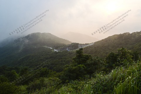 高山生境 Montane habitats