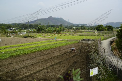 耕地 Farmland