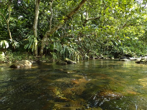 淡水河溪 Freshwater stream