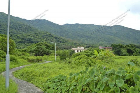 棄耕農田 Abandoned farmland