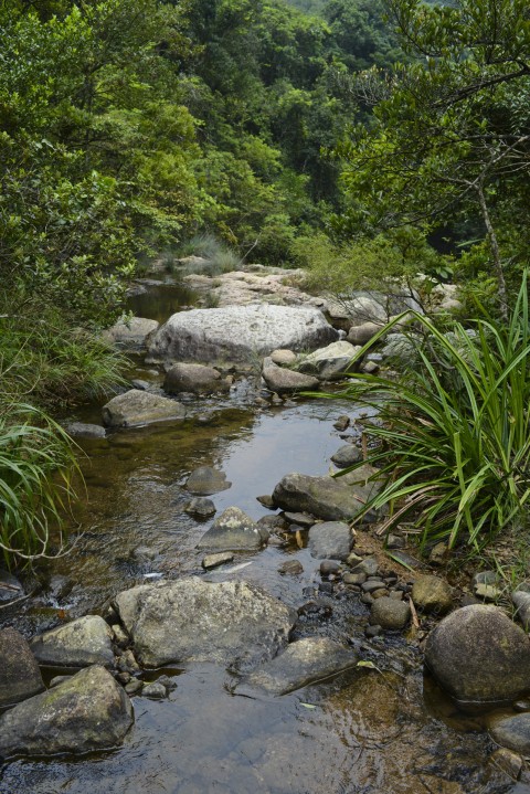 淡水河溪 Freshwater stream