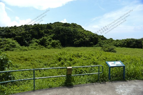 淡水濕地 Freshwater wetland