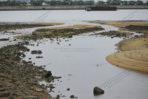 河口 Estuaries