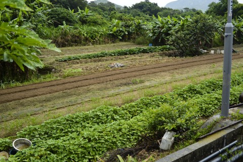 耕地 Farmland