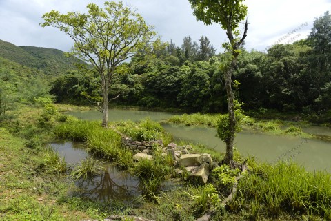 人工水池 Man-made pond 
