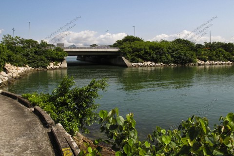 退化中的海岸生境 Coastal habitat under degradation