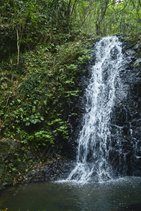 淡水溪流 Freshwater stream