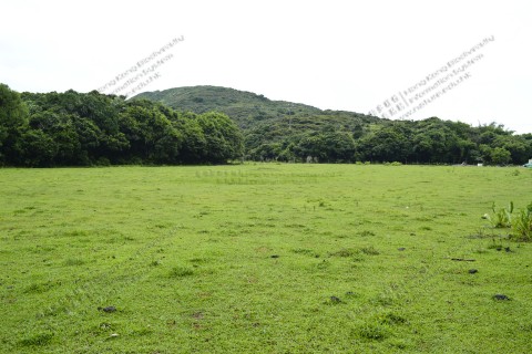 淡水濕地 Freshwater wetland 