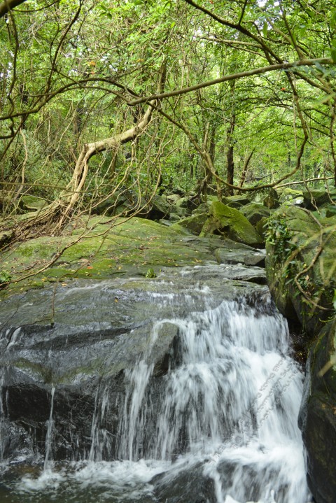 淡水河溪 Freshwater stream