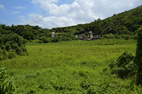 荒廢農田 Abandoned farmland