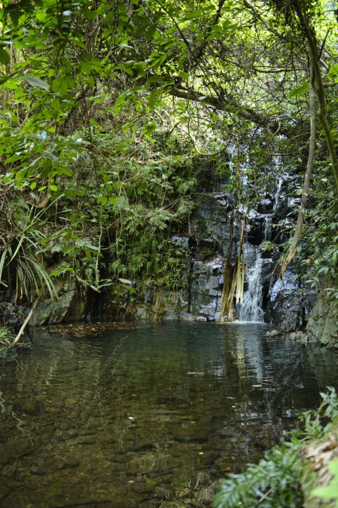 淡水河溪 Freshwater Stream