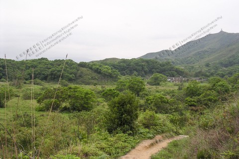 棄耕農田 Abandoned Farmland