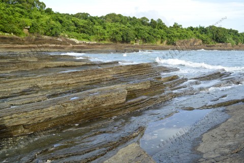 岩岸 Rocky shore