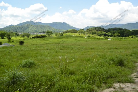 草地 Grassland