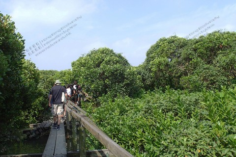 浮橋 Floating Board Walk