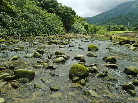 淡水河溪 Freshwater stream